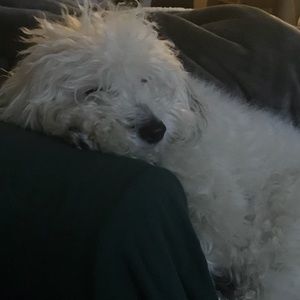 Meet your Posher, Deborah